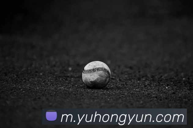 鸿运棋牌全站App